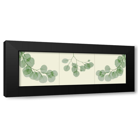 Leaf Triple in Green 2 Black Modern Wood Framed Art Print with Double Matting by Koetsier, Albert