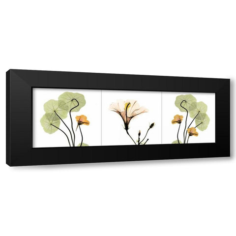 Triple in Color Black Modern Wood Framed Art Print by Koetsier, Albert