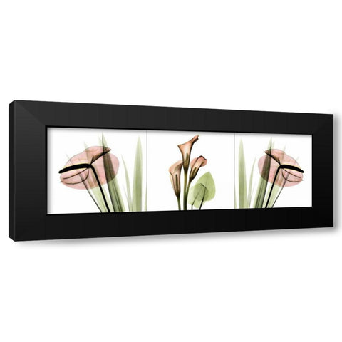 Triple in Pink Black Modern Wood Framed Art Print with Double Matting by Koetsier, Albert