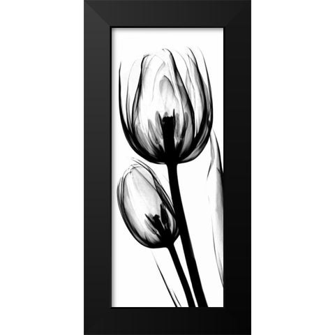 Tulip in BandW Black Modern Wood Framed Art Print by Koetsier, Albert