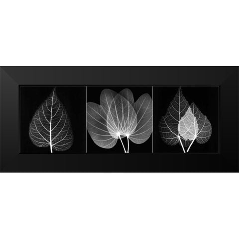 Leaf Triple on Black 2 Black Modern Wood Framed Art Print by Koetsier, Albert