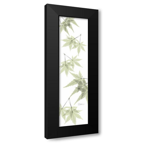 Leaves in Green Black Modern Wood Framed Art Print with Double Matting by Koetsier, Albert