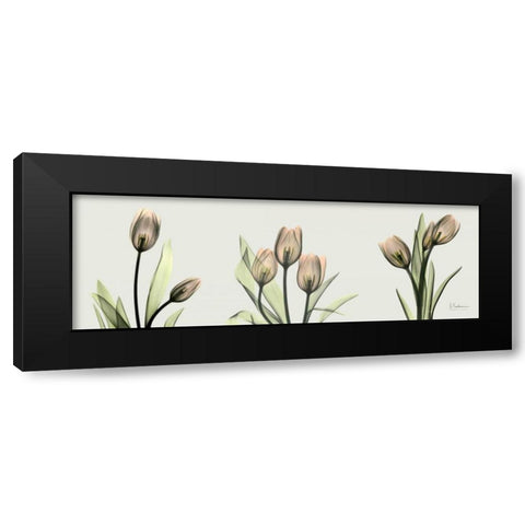 Spring  Tulip Triple Black Modern Wood Framed Art Print with Double Matting by Koetsier, Albert