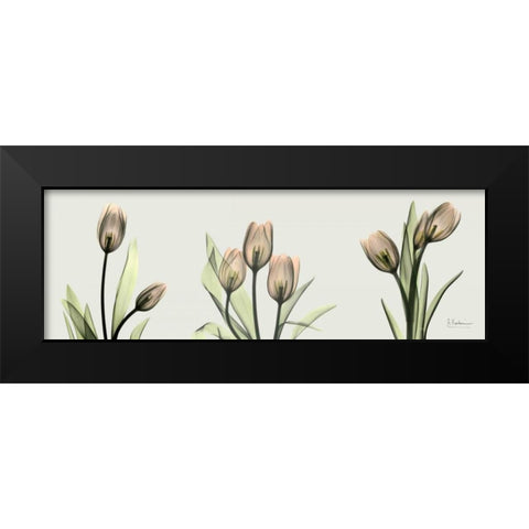 Spring  Tulip Triple Black Modern Wood Framed Art Print by Koetsier, Albert