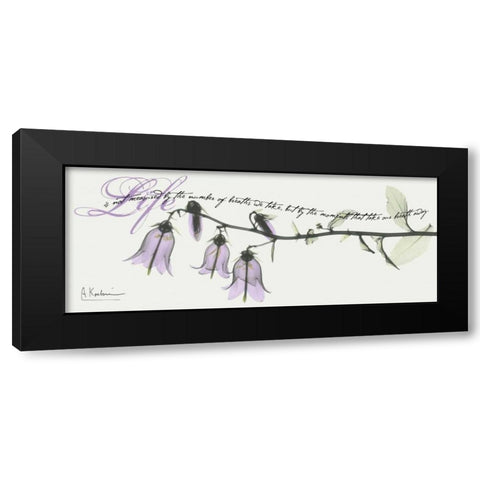 Campanula Life Black Modern Wood Framed Art Print by Koetsier, Albert