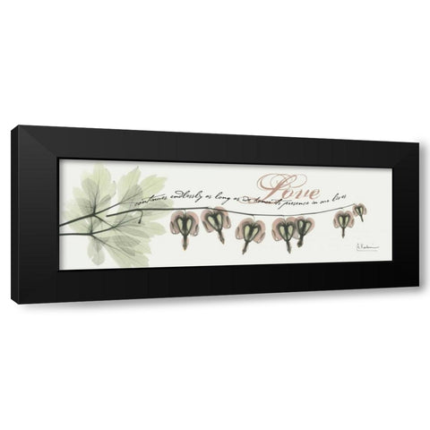 Bleeding Heart Love Black Modern Wood Framed Art Print with Double Matting by Koetsier, Albert