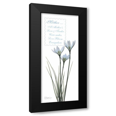 White Rain Lily - Mother Black Modern Wood Framed Art Print by Koetsier, Albert