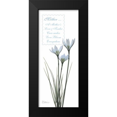 White Rain Lily - Mother Black Modern Wood Framed Art Print by Koetsier, Albert