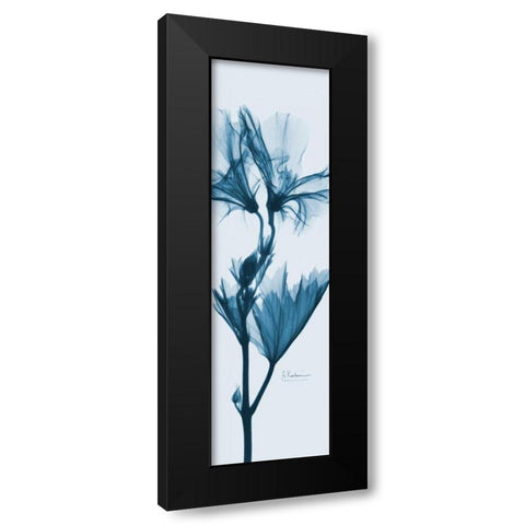 Geranium in Blue Black Modern Wood Framed Art Print with Double Matting by Koetsier, Albert