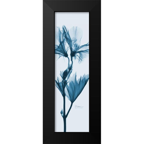 Geranium in Blue Black Modern Wood Framed Art Print by Koetsier, Albert