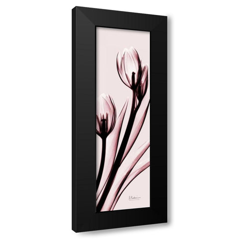 Tulip on Pink Black Modern Wood Framed Art Print with Double Matting by Koetsier, Albert