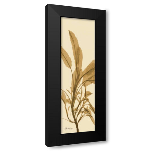 Sage Brown on Beige Black Modern Wood Framed Art Print by Koetsier, Albert