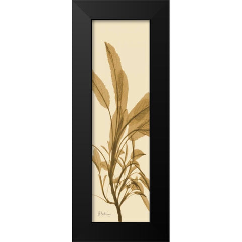 Sage Brown on Beige Black Modern Wood Framed Art Print by Koetsier, Albert