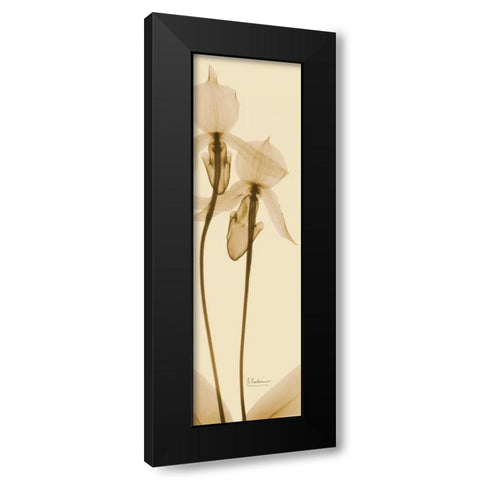 Orchid Brown on Beige 2 Black Modern Wood Framed Art Print with Double Matting by Koetsier, Albert