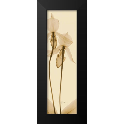 Orchid Brown on Beige 2 Black Modern Wood Framed Art Print by Koetsier, Albert