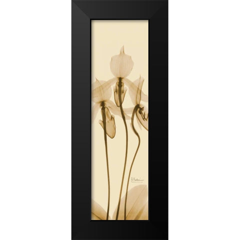 Orchid Brown on Beige Black Modern Wood Framed Art Print by Koetsier, Albert