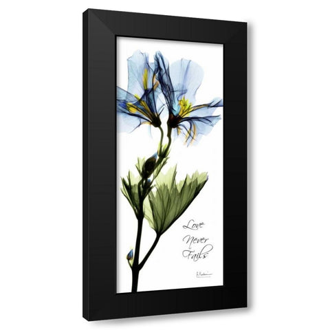 Geranium - Love Black Modern Wood Framed Art Print with Double Matting by Koetsier, Albert