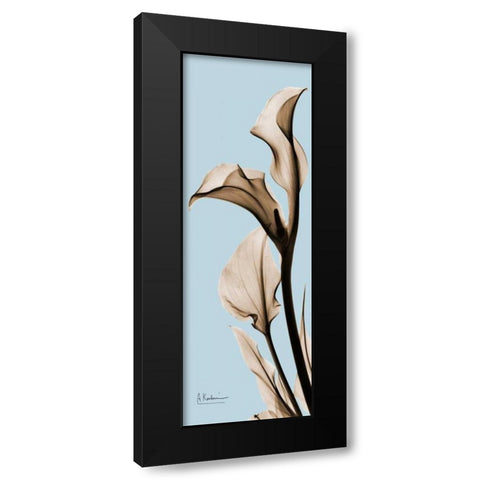 Calla Lily Black Modern Wood Framed Art Print with Double Matting by Koetsier, Albert