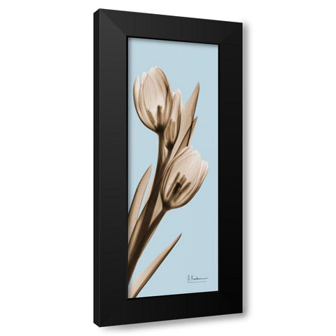 Tulip Black Modern Wood Framed Art Print with Double Matting by Koetsier, Albert