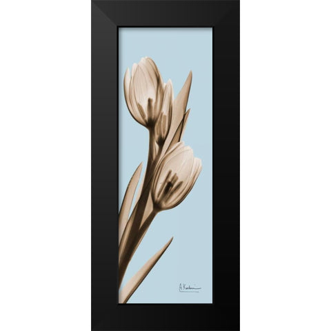 Tulip Black Modern Wood Framed Art Print by Koetsier, Albert