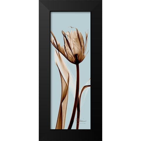 Tulip Brown on Blue Black Modern Wood Framed Art Print by Koetsier, Albert