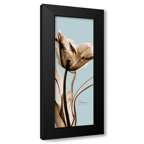 Tulip Brown on Blue 2 Black Modern Wood Framed Art Print with Double Matting by Koetsier, Albert