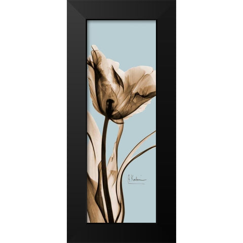 Tulip Brown on Blue 2 Black Modern Wood Framed Art Print by Koetsier, Albert