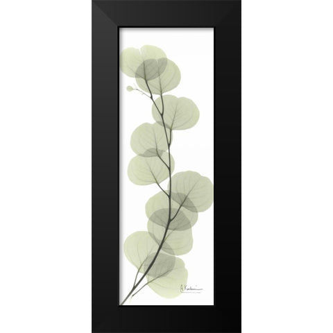 Eucalyptus in Green Black Modern Wood Framed Art Print by Koetsier, Albert