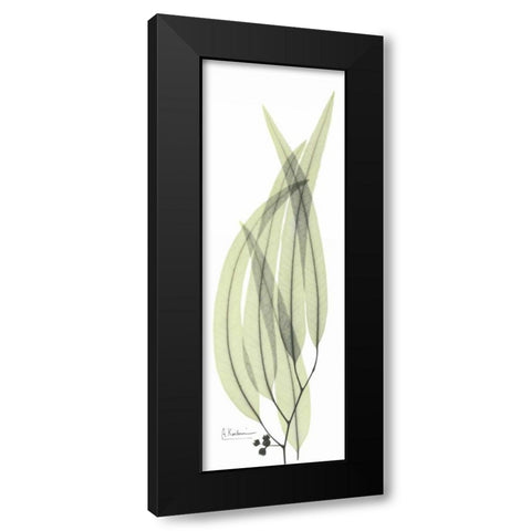 Eucalyptus in Green 2 Black Modern Wood Framed Art Print with Double Matting by Koetsier, Albert