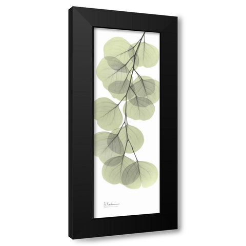 Eucalyptus in Green 3 Black Modern Wood Framed Art Print with Double Matting by Koetsier, Albert