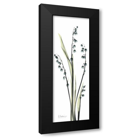 Lily of the Valley in Blue Black Modern Wood Framed Art Print with Double Matting by Koetsier, Albert