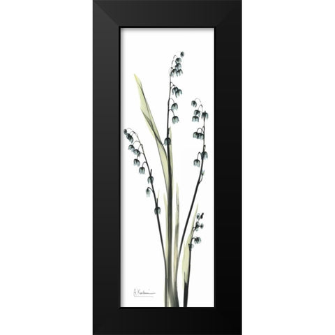 Lily of the Valley in Blue Black Modern Wood Framed Art Print by Koetsier, Albert