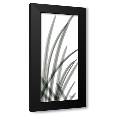 Snow Drop Leaves Black Modern Wood Framed Art Print with Double Matting by Koetsier, Albert