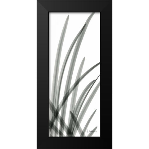 Snow Drop Leaves Black Modern Wood Framed Art Print by Koetsier, Albert