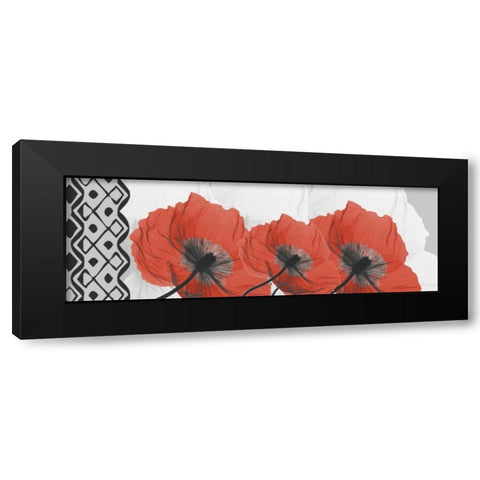 Poppies L167 Black Modern Wood Framed Art Print with Double Matting by Koetsier, Albert