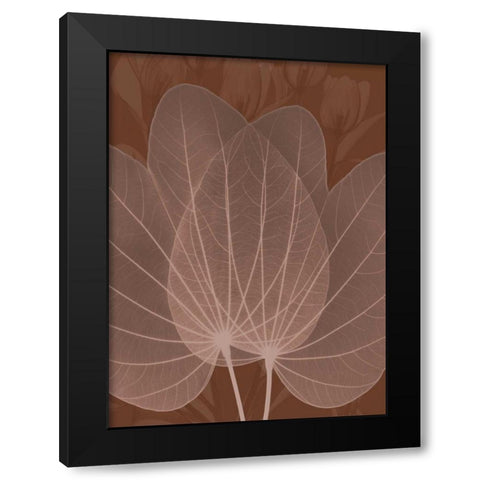 Orchid Tree Fan Black Modern Wood Framed Art Print with Double Matting by Koetsier, Albert