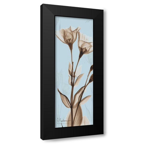 Flower 1 Black Modern Wood Framed Art Print by Koetsier, Albert