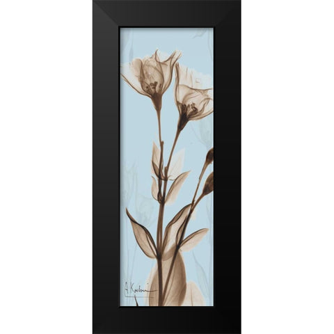 Flower 1 Black Modern Wood Framed Art Print by Koetsier, Albert