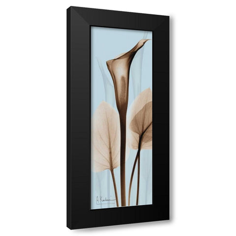 Flower 2 Black Modern Wood Framed Art Print with Double Matting by Koetsier, Albert