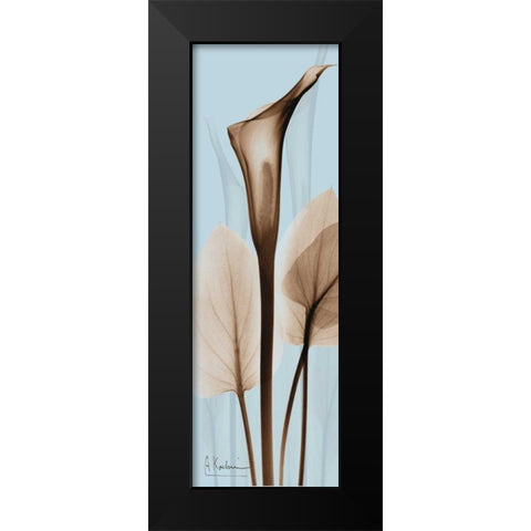 Flower 2 Black Modern Wood Framed Art Print by Koetsier, Albert