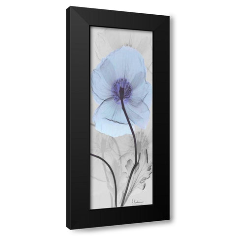 Iceland Poppy Black Modern Wood Framed Art Print by Koetsier, Albert