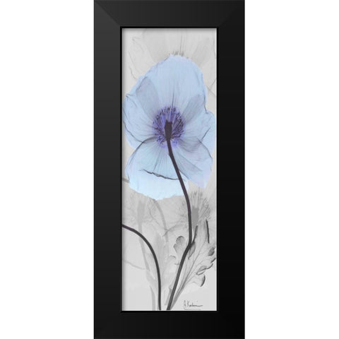 Iceland Poppy Black Modern Wood Framed Art Print by Koetsier, Albert