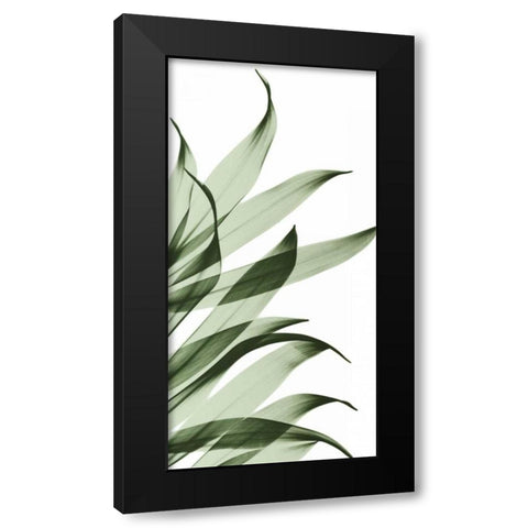 Song of India I295 Black Modern Wood Framed Art Print with Double Matting by Koetsier, Albert