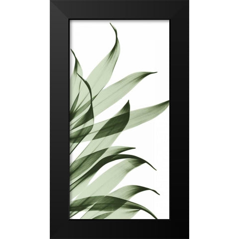 Song of India I295 Black Modern Wood Framed Art Print by Koetsier, Albert