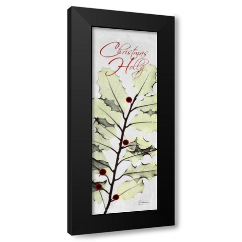 Christmas Calla Lily Black Modern Wood Framed Art Print with Double Matting by Koetsier, Albert