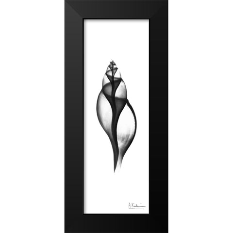 Tulip Shell Black Modern Wood Framed Art Print by Koetsier, Albert