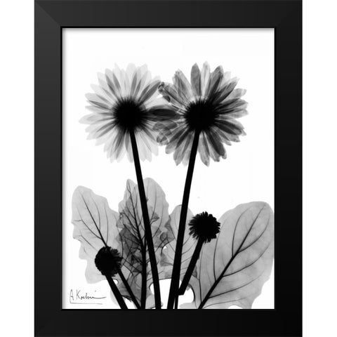 Gerbera BW Black Modern Wood Framed Art Print by Koetsier, Albert