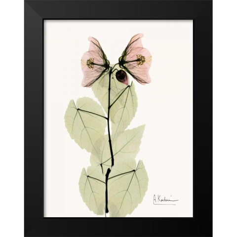 Abutulon Pair Black Modern Wood Framed Art Print by Koetsier, Albert