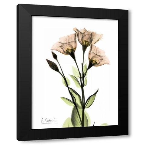 Gentian 3 Black Modern Wood Framed Art Print by Koetsier, Albert