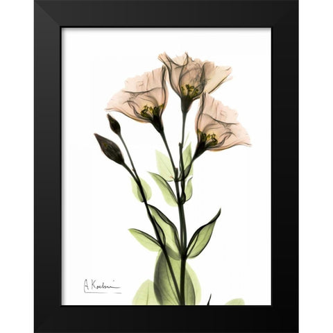 Gentian 3 Black Modern Wood Framed Art Print by Koetsier, Albert